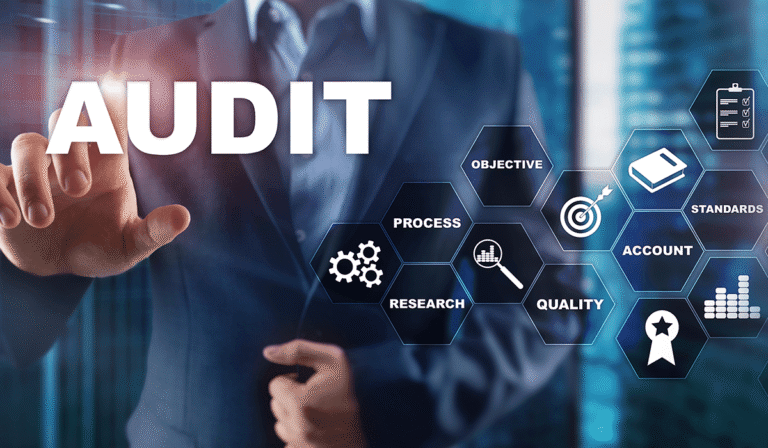 Audit services